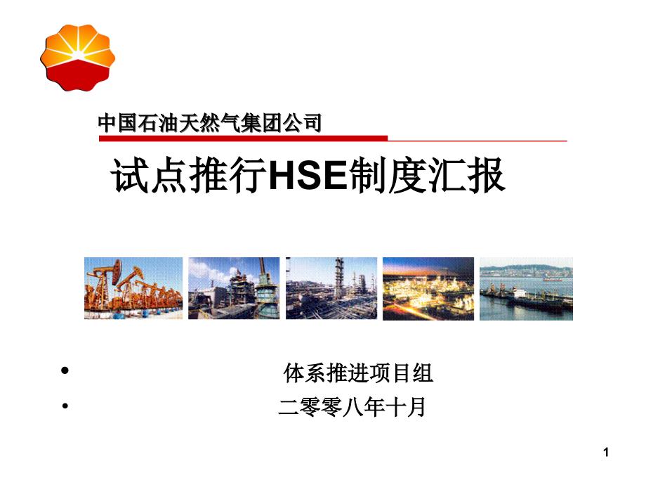 某公司试点推行HSE制度汇报_第1页