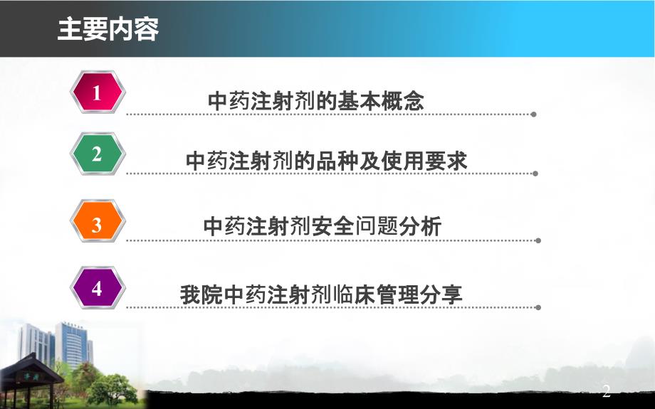 中药注射剂合理使用监管_第2页