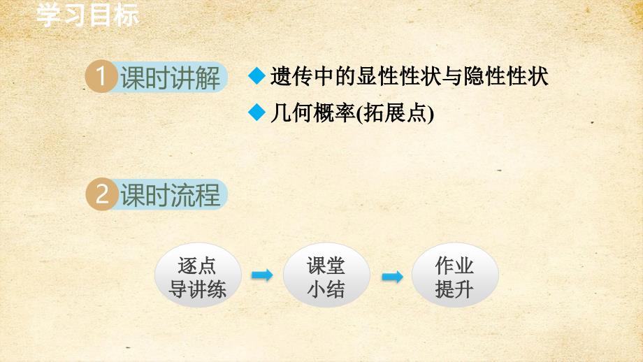 26-4 综合与实践   概率在遗传学中的应用 课件 沪科版九年级数学下册_第2页