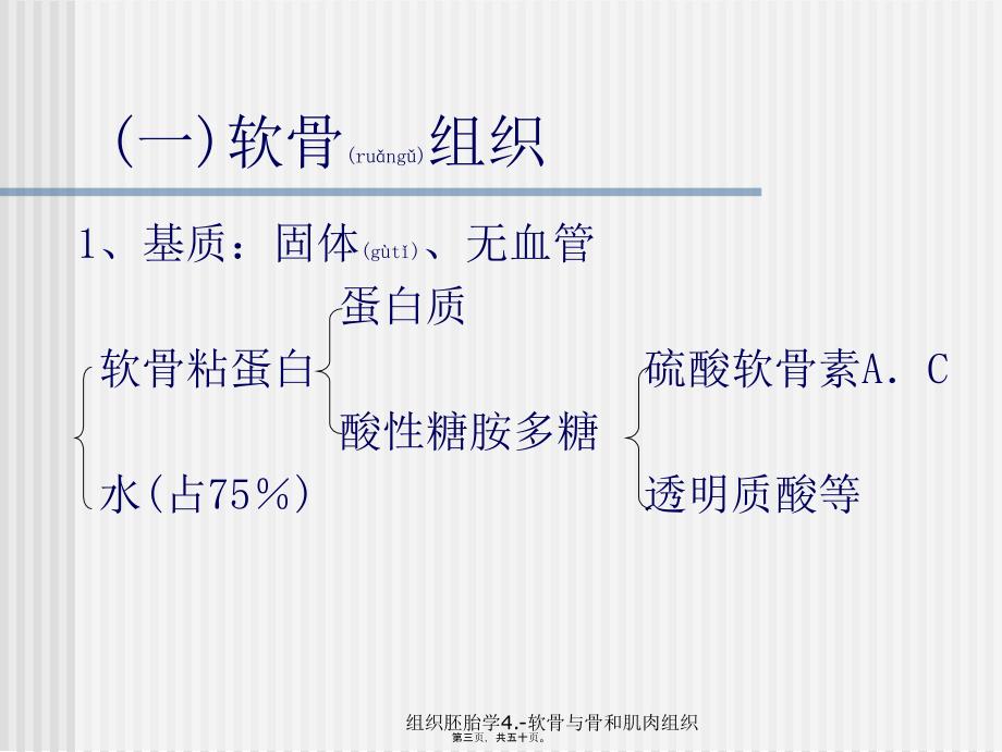 组织胚胎学4.-软骨与骨和肌肉组织课件_第3页