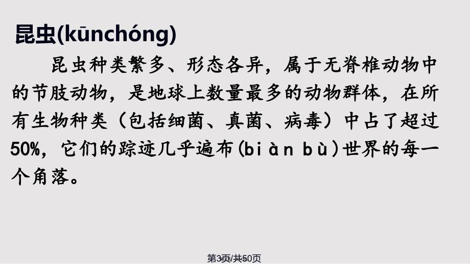 4、昆虫备忘录实用教案_第3页