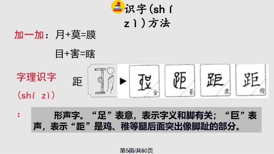 4、昆虫备忘录实用教案_第5页