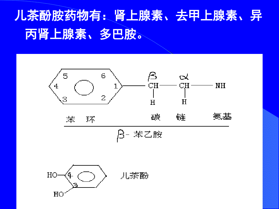 第五章肾上腺素受体激动药_第3页