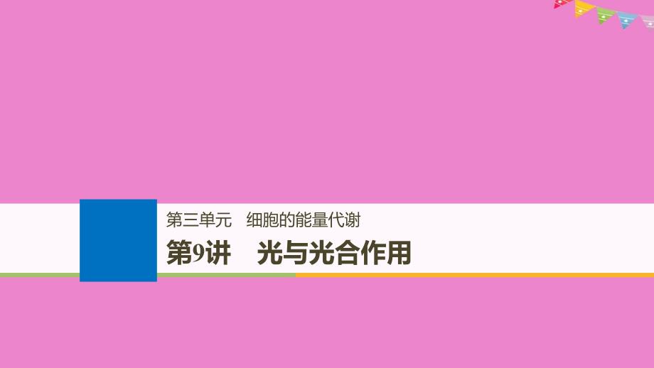 生物高考大一轮复习第三单元细胞的能量代谢第9讲光与光合作用课件北师大版_第1页