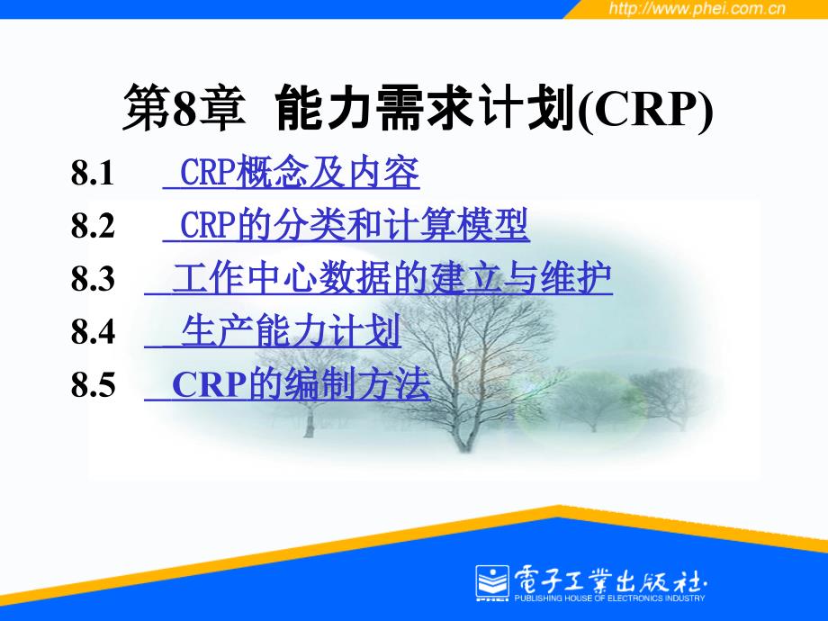 企业资源计划(ERP)_第1页