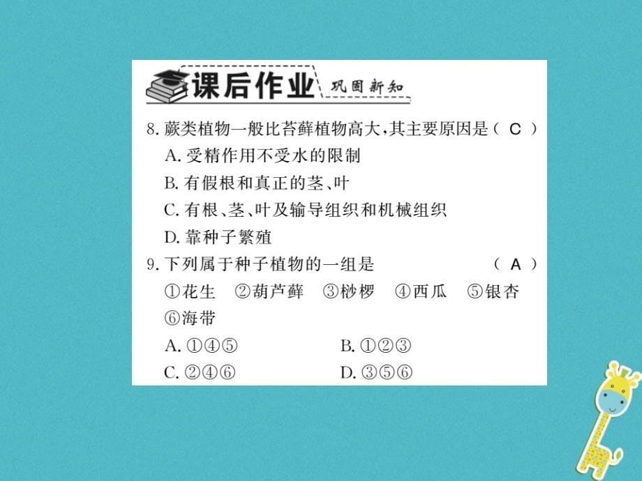 2023八年级生物下册 22.3 植物的主要类群课件 （新版）北师大版_第5页