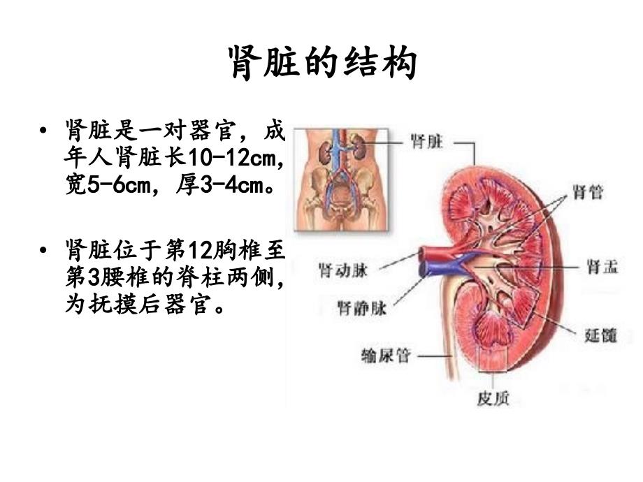 肾内科护理常规_第3页