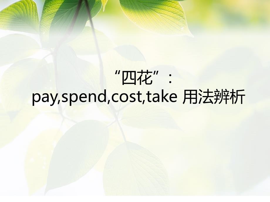 payspendcosttake用法辨析_第1页