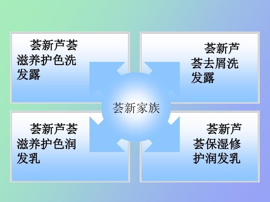 荟新洗护系列_第5页