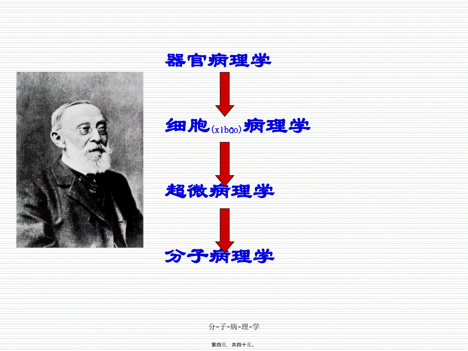 分-子-病-理-学课件_第4页