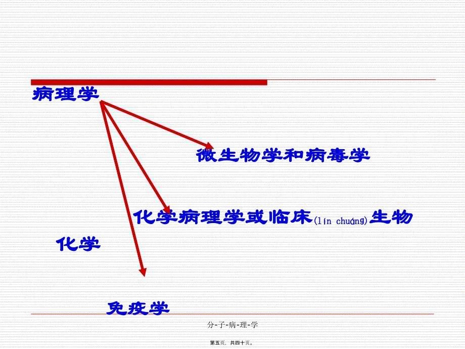 分-子-病-理-学课件_第5页