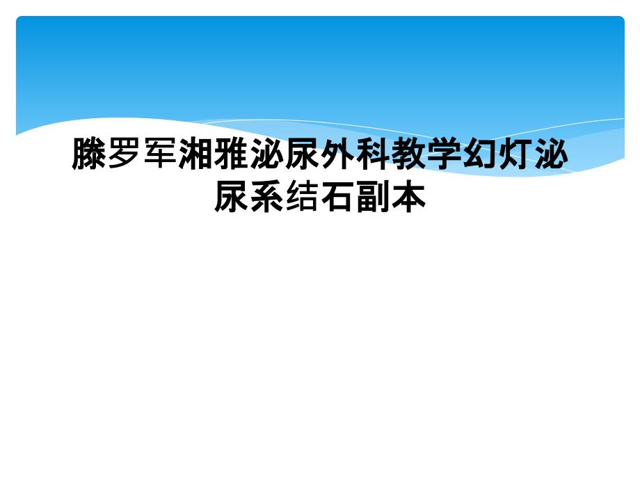 滕罗军湘雅泌尿外科教学幻灯泌尿系结石副本_第1页