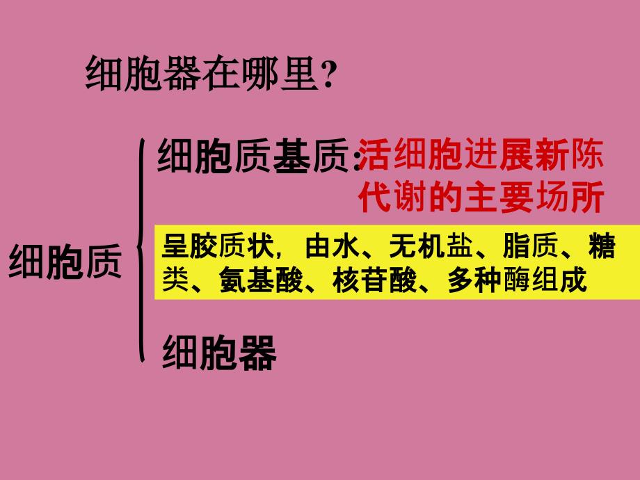 高中生物必修一细胞器ppt课件_第4页