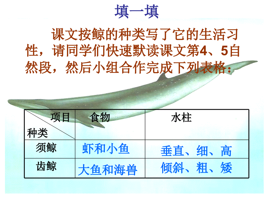 课件《鲸》（第二课时）_第3页