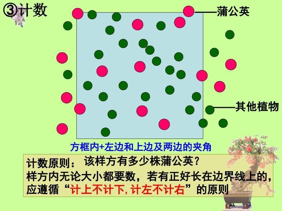 新使用4.1种群的特征_第5页