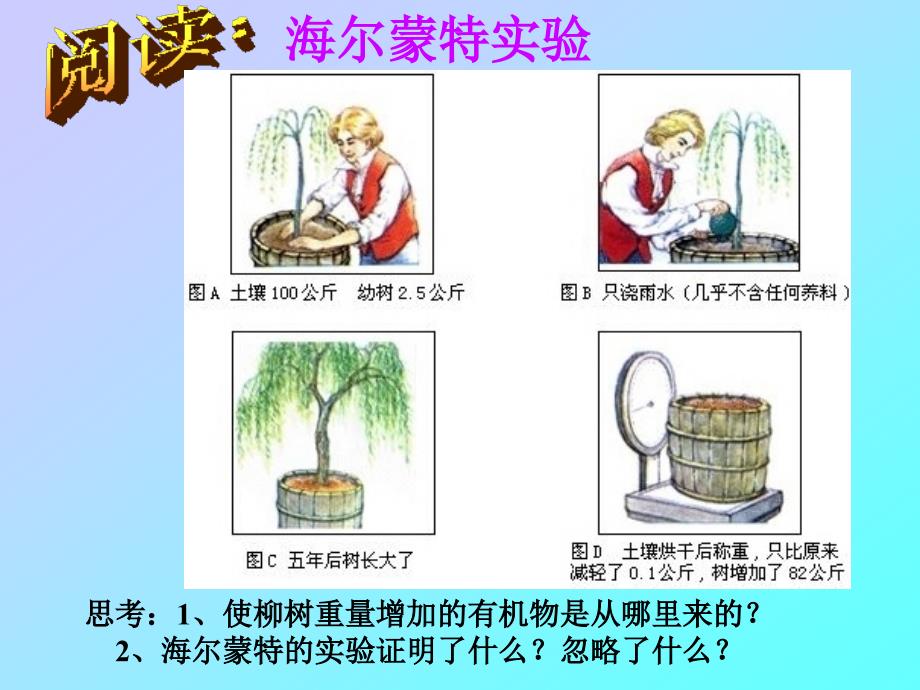 植物的光合作用教学_第2页