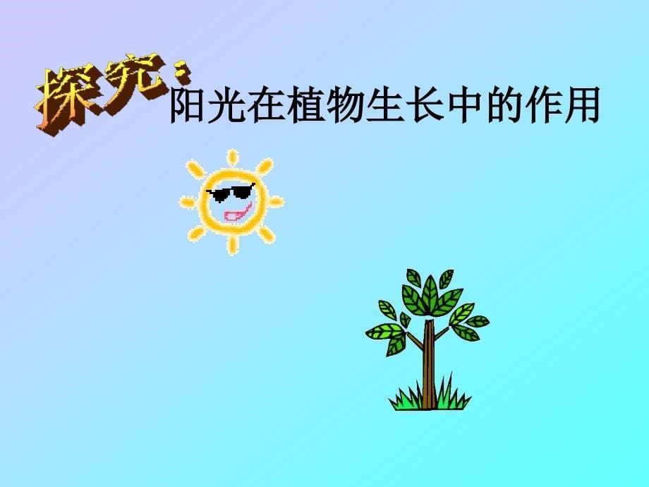 植物的光合作用教学_第5页