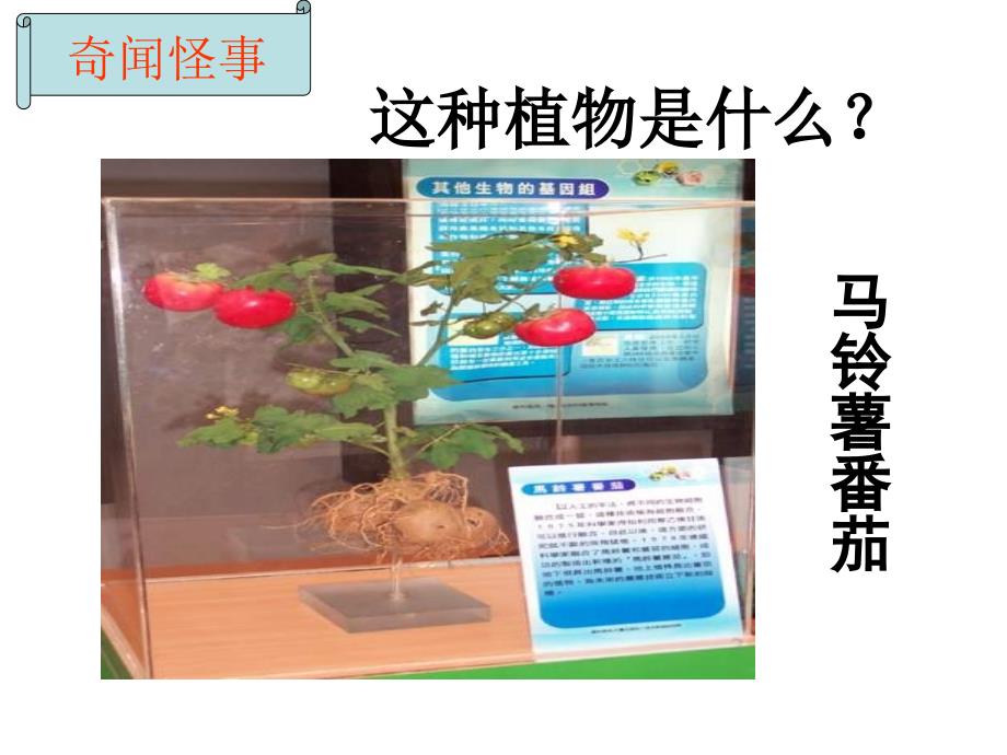 济南版第七节植物的无性生殖名师制作优质教学资料_第2页