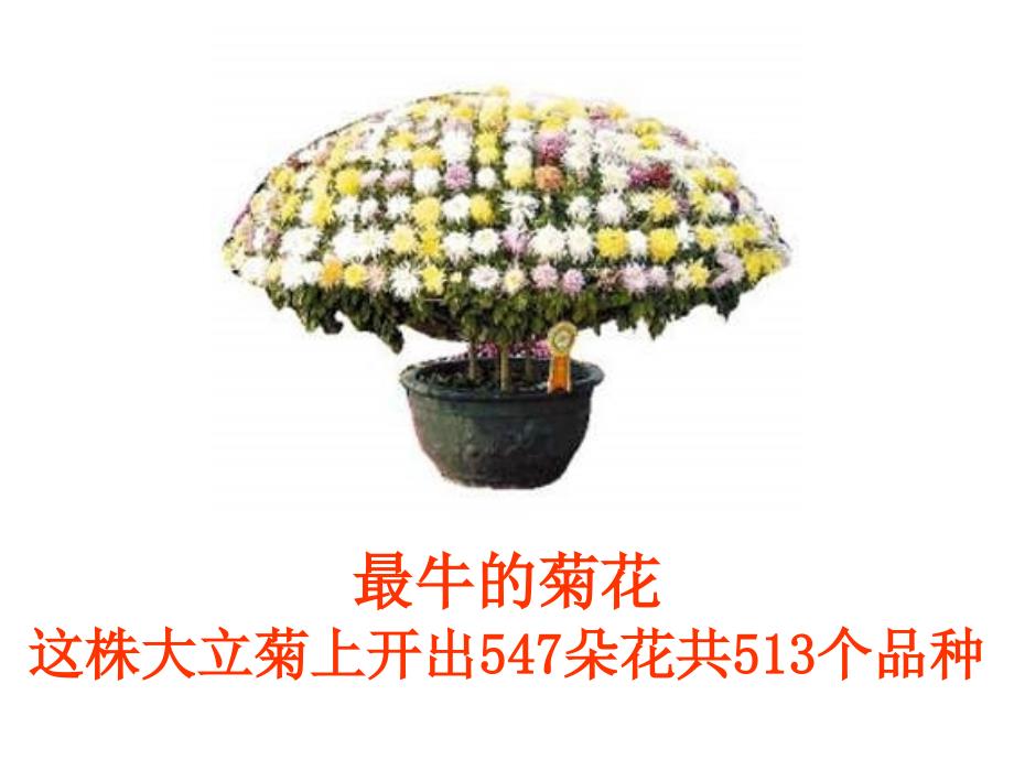 济南版第七节植物的无性生殖名师制作优质教学资料_第3页