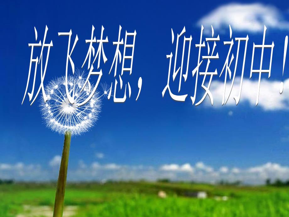 初一如如何处理学习.ppt_第1页