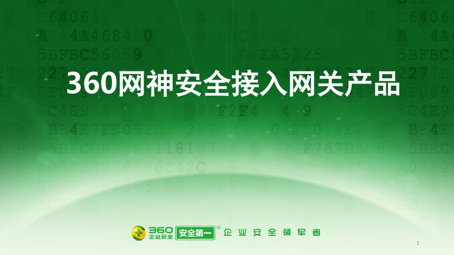 360网神安全接入网关系统文档资料_第1页