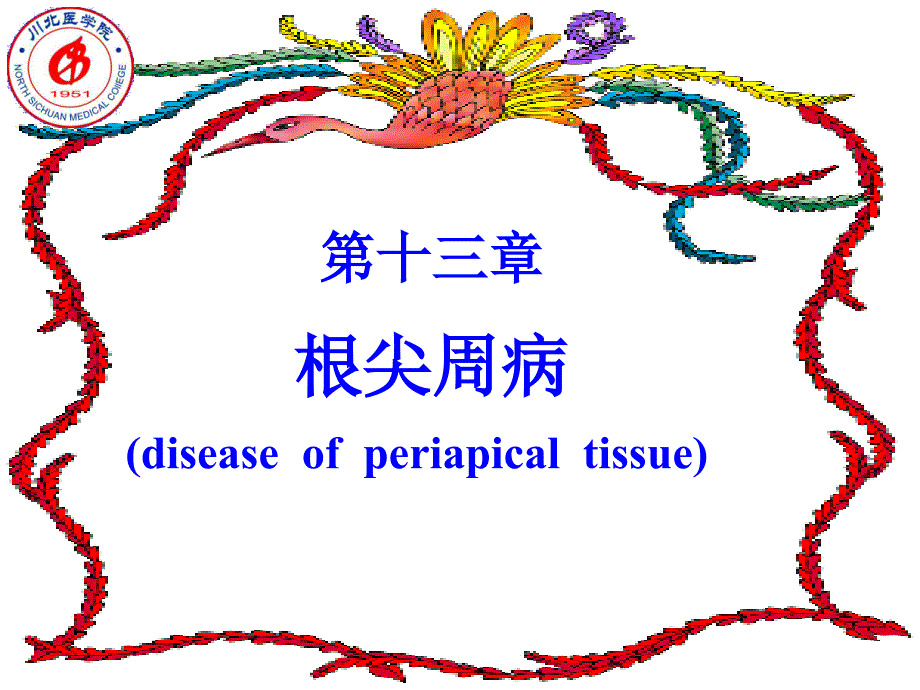 口腔牙体牙髓病学第十三章根尖周病临床表现及诊断_第1页