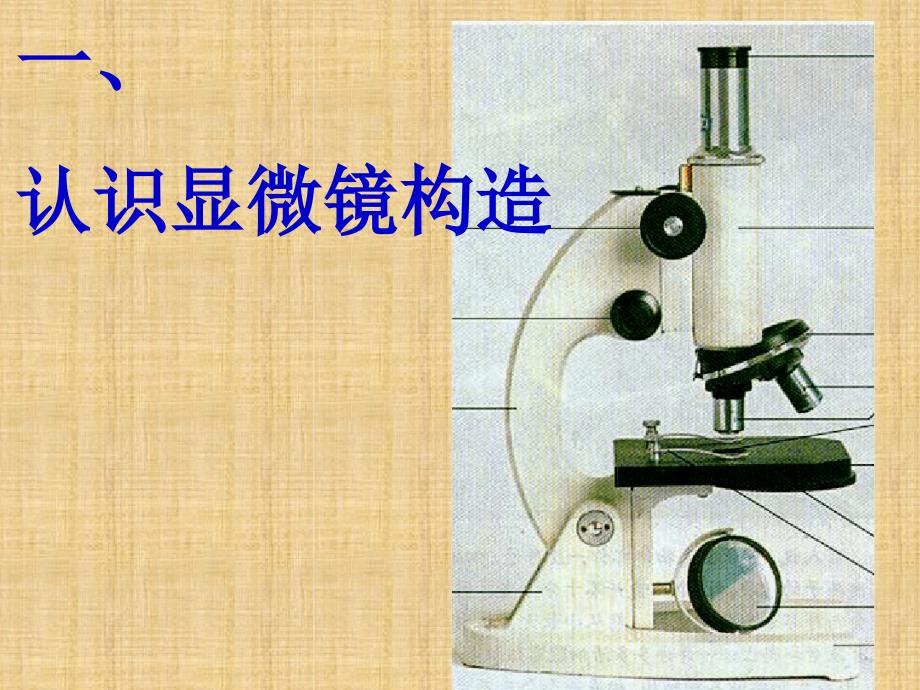 初中七年级生物上册211练习使用显微镜名师优质课件2新版新人教版_第3页