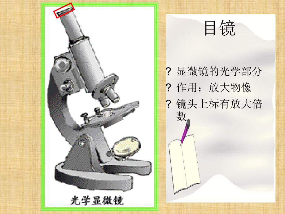 初中七年级生物上册211练习使用显微镜名师优质课件2新版新人教版_第4页