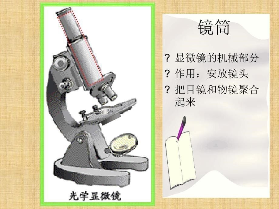 初中七年级生物上册211练习使用显微镜名师优质课件2新版新人教版_第5页