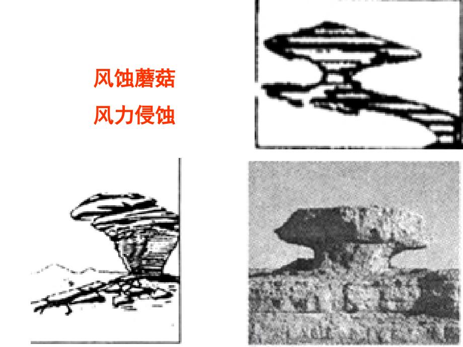 2.2内外力小测全解_第2页