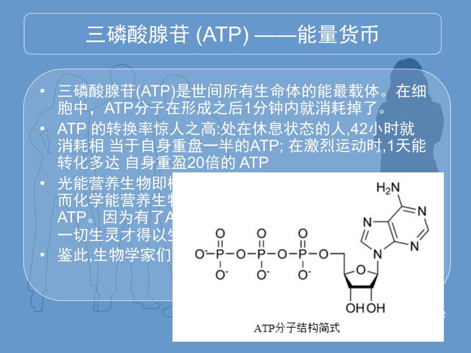 F1F0ATP合酶的发现课堂PPT_第2页