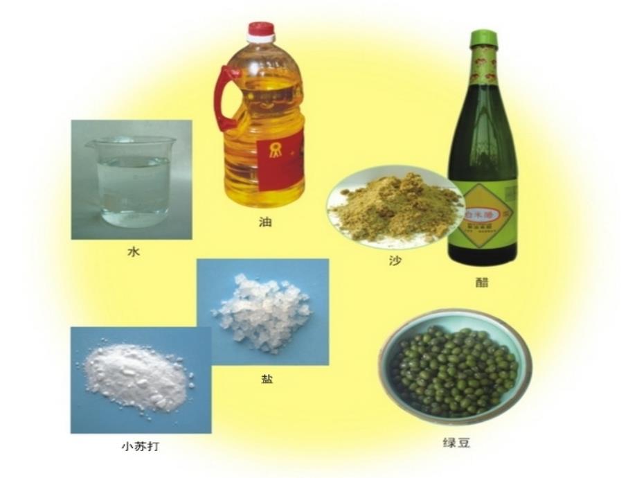 粤教版科学六上_第2页