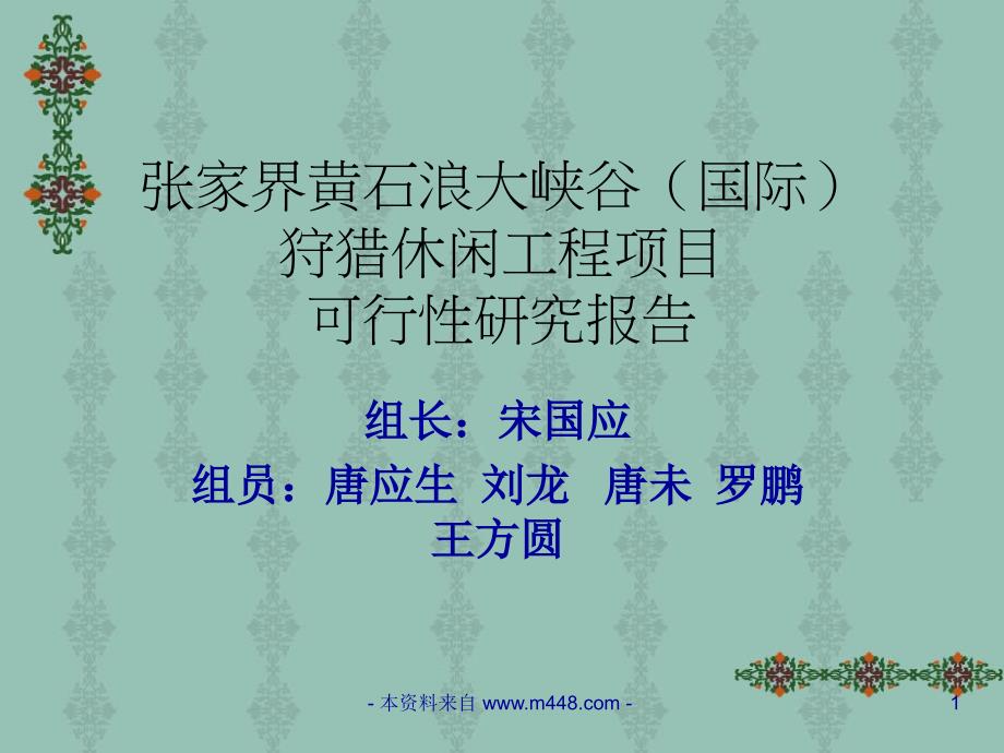 张家界黄石浪大峡谷狩猎休闲工程项目可行性研究报告(48页)_第1页