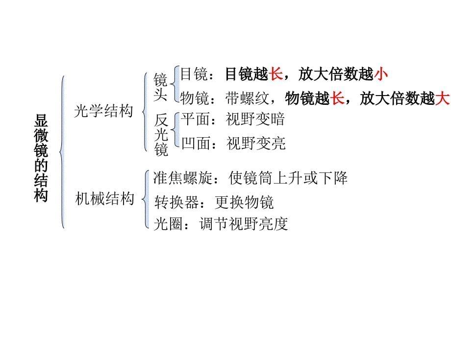 实验1使用高倍显微镜观察几种细胞_第5页