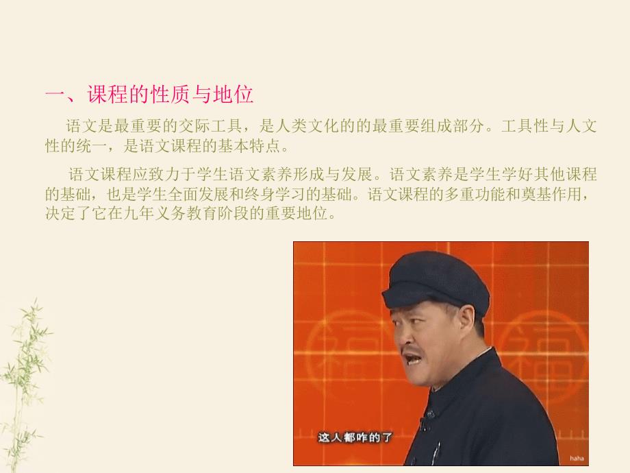 初中语文新课程标准与解读_第3页