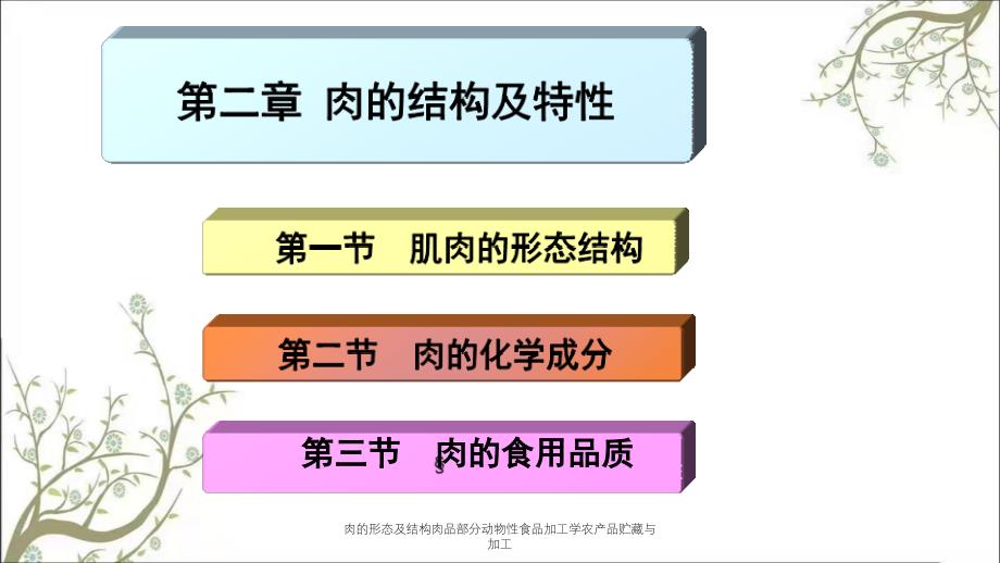 肉的形态及结构肉品部分动物性食品加工学农产品贮藏与加工_第2页