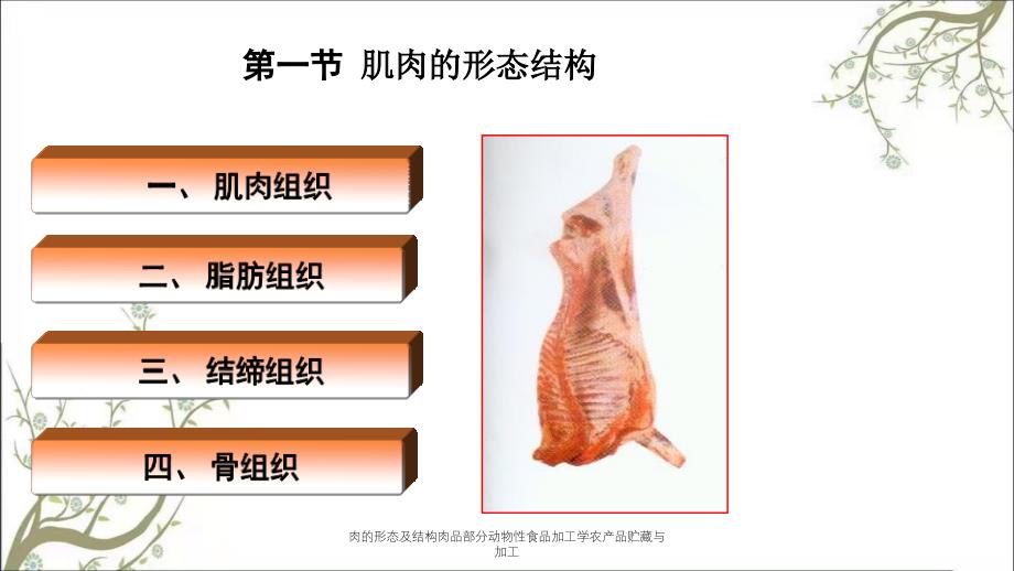 肉的形态及结构肉品部分动物性食品加工学农产品贮藏与加工_第3页