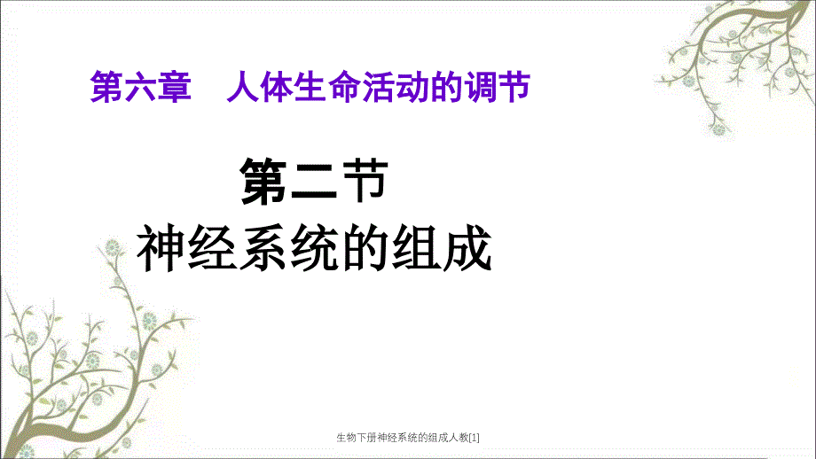 生物下册神经系统的组成人教[1]_第2页