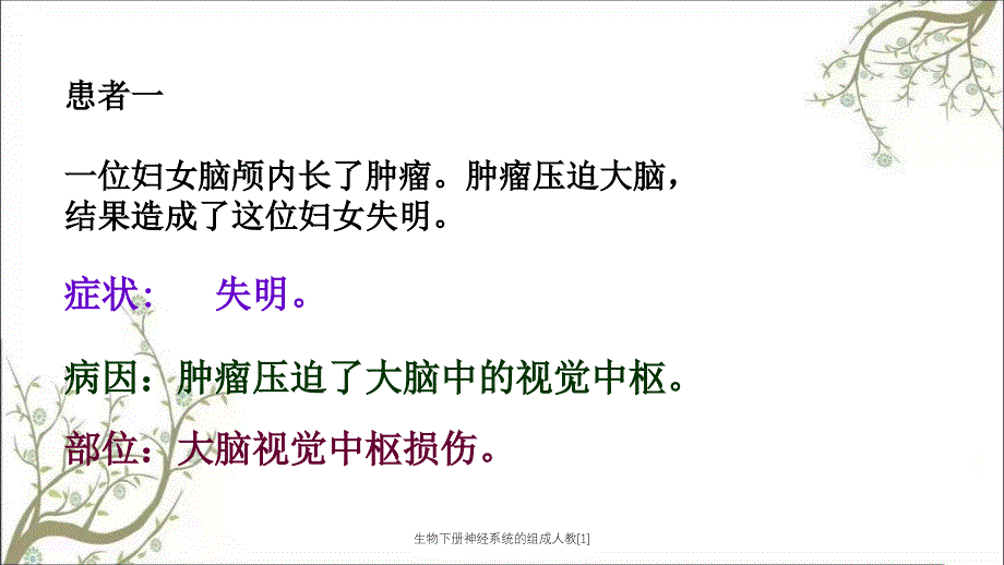 生物下册神经系统的组成人教[1]_第4页