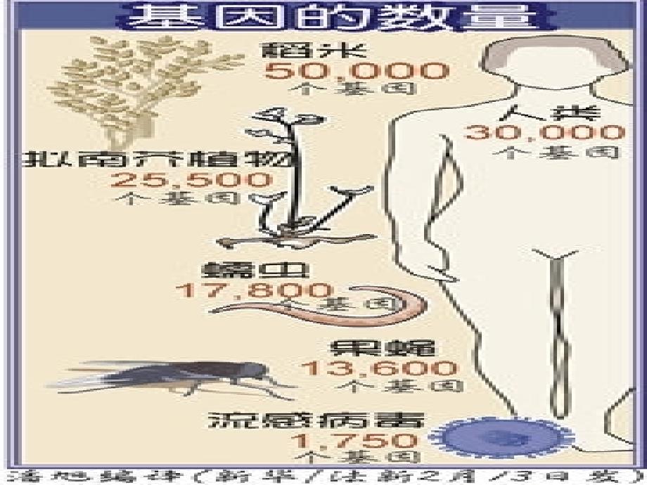 意识能够正确反映客观事物1_第3页