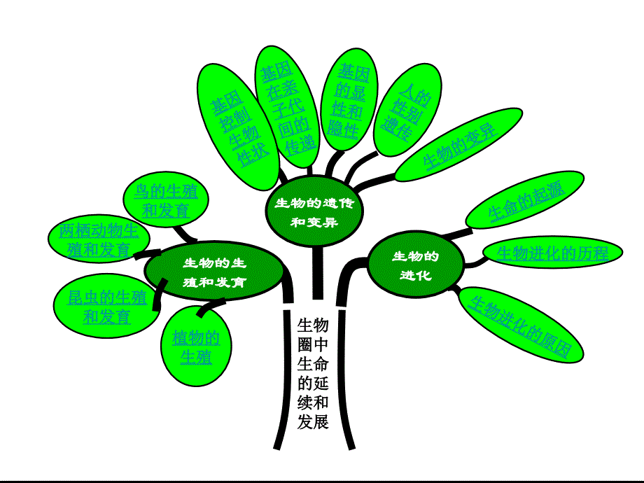 人教版生物八年级下册生物复习课_第2页