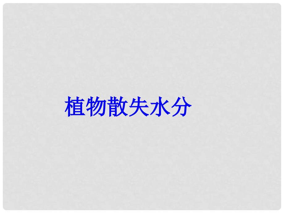 湖南省桑植县七年级生物上册 第三单元 第三章 第三节 绿色植物参与生物圈的水循环课件 （新版）新人教版_第4页