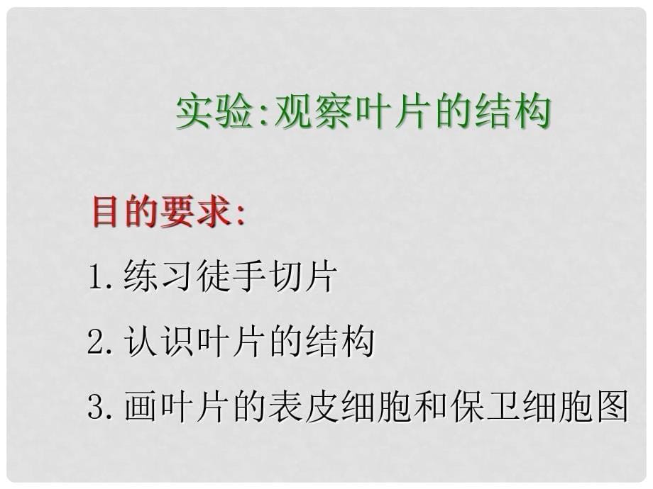 湖南省桑植县七年级生物上册 第三单元 第三章 第三节 绿色植物参与生物圈的水循环课件 （新版）新人教版_第5页