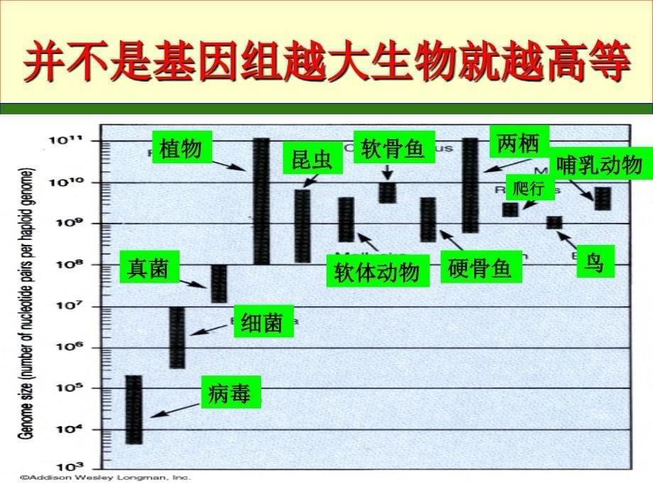 生物科技蓬勃发展_第5页