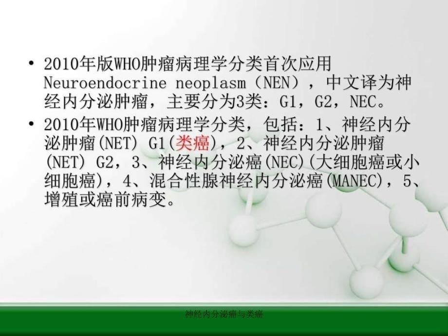 神经内分泌癌与类癌课件_第5页