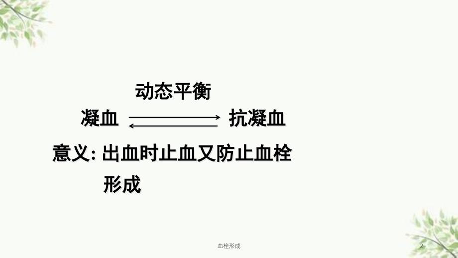 血栓形成课件_第2页