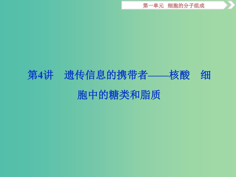 2019届高考生物一轮复习 第一单元 细胞的分子组成 第4讲 遗传信息的携带者——核酸 细胞中的糖类和脂质课件.ppt_第1页