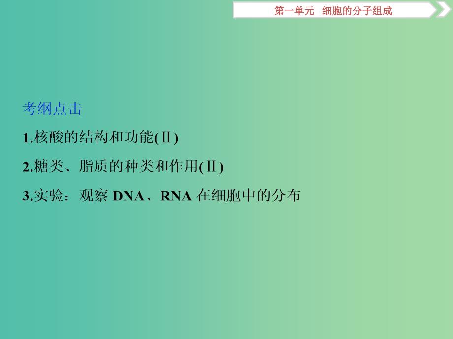 2019届高考生物一轮复习 第一单元 细胞的分子组成 第4讲 遗传信息的携带者——核酸 细胞中的糖类和脂质课件.ppt_第2页