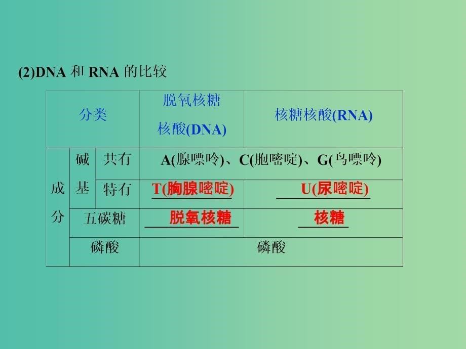 2019届高考生物一轮复习 第一单元 细胞的分子组成 第4讲 遗传信息的携带者——核酸 细胞中的糖类和脂质课件.ppt_第5页