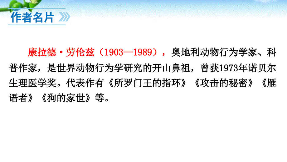 动物笑谈(用).ppt_第4页